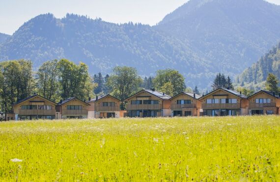 7 Chalets in Salzkammergut in Austria of Das Hintersee, flowering meadow in the foreground, wooded mountains in the background