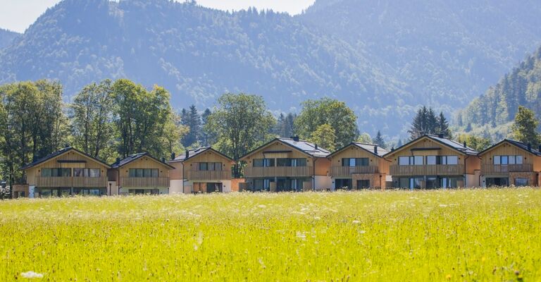 7 Chalets in Salzkammergut in Austria of Das Hintersee, flowering meadow in the foreground, wooded mountains in the background