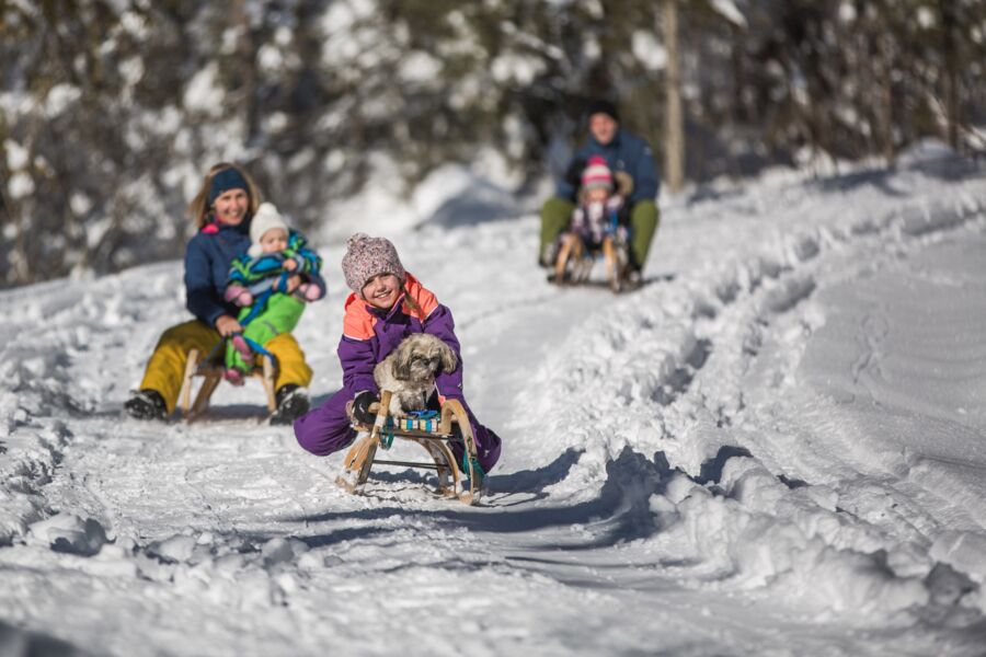 People travelling down the mountain on sledges.