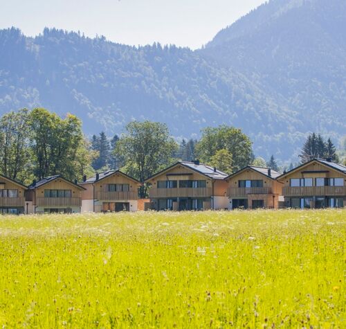 7 Chalets in Salzkammergut in Austria of Das Hintersee, flowering meadow in the foreground, wooded mountains in the background