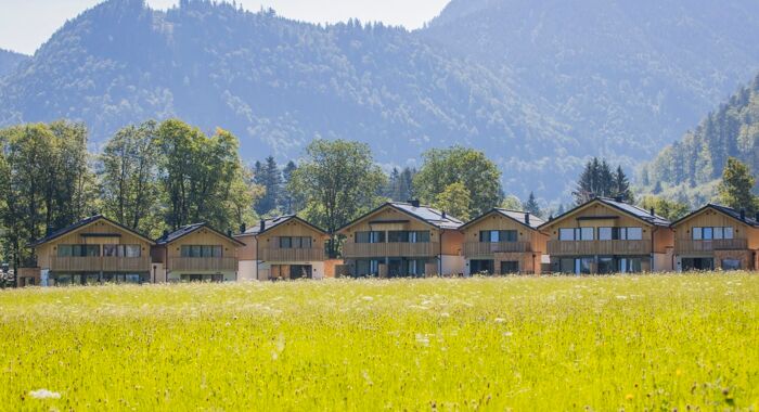 7 Chalets in Salzkammergut in Austria of Das Hintersee, flowering meadow in the foreground, wooded mountains in the background