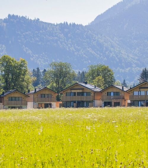 7 Chalets in Salzkammergut in Austria of Das Hintersee, flowering meadow in the foreground, wooded mountains in the background