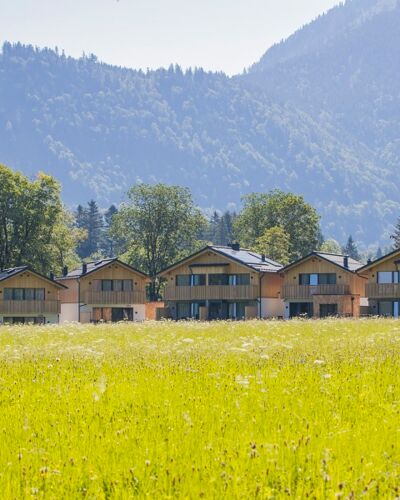 7 Chalets in Salzkammergut in Austria of Das Hintersee, flowering meadow in the foreground, wooded mountains in the background