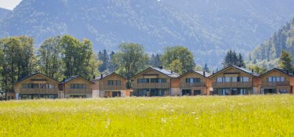 7 Chalets in Salzkammergut in Austria of Das Hintersee, flowering meadow in the foreground, wooded mountains in the background