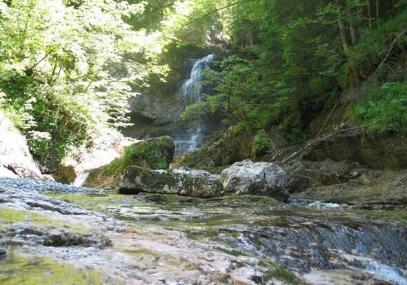 Zauberweg in Hintersee