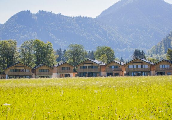 7 Chalets in Salzkammergut in Austria of Das Hintersee, flowering meadow in the foreground, wooded mountains in the background