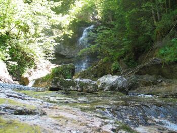 Zauberweg in Hintersee