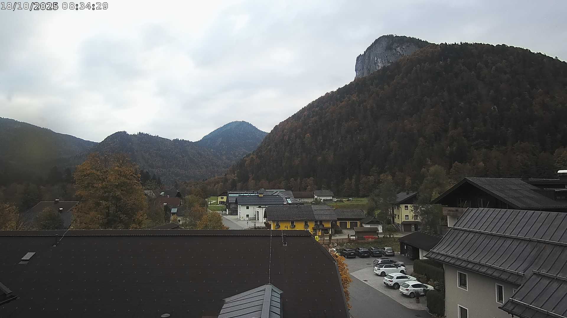 Webcam with live view of Feichtenstein